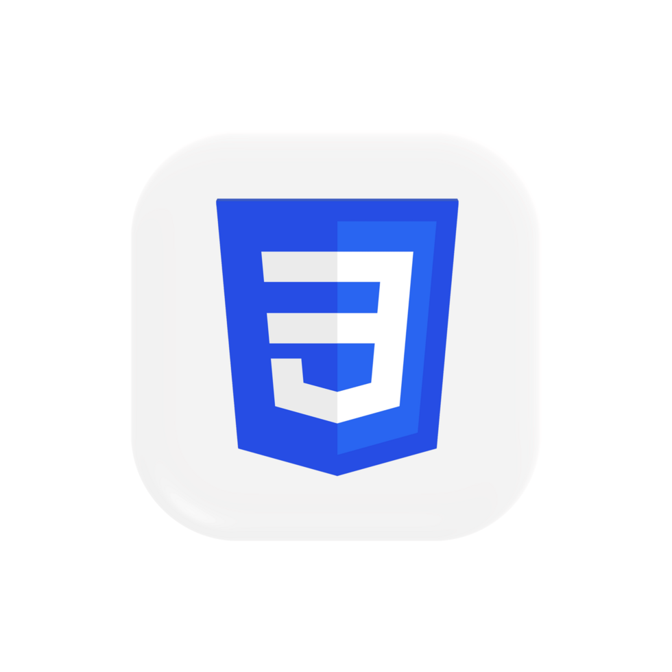 CSS
